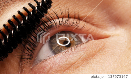 Making makeup in a beauty salon. Applying black mascara to the eyelashes with a makeup brush. Close-up of a woman's eye. Lengthening of the eyelashes after lamination. 137973147