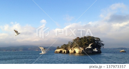 海に浮かぶ島と飛ぶカモメの風景 横長バナー向け風景 海に浮かぶ島と飛ぶカモメの風景 横長バナー向け風景 137973357