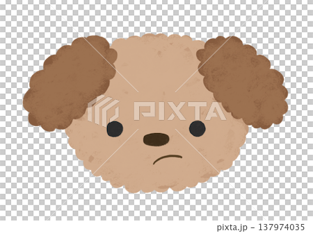 かわいい トイプードル 不満顔 表情 イラスト 137974035