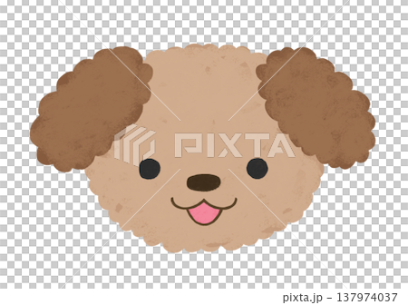 かわいい トイプードル 口開け 笑顔 表情 イラスト 137974037