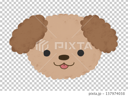 かわいい トイプードル やんちゃ 舌出し 表情 イラスト 137974038