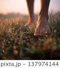 Bare Feet on Dewy Morning Grass at Golden Sunrise 137974144