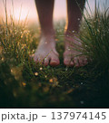 Close-up Bare Feet Walking on Wet Dewy Grass at Dawn 137974145