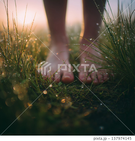 Close-up Bare Feet Walking on Wet Dewy Grass at Dawn 137974145