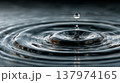 Water Drop Falling into Calm Dark Surface with Perfect Circular Ripples 137974165