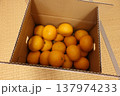 和室に置いたみかん箱 137974233