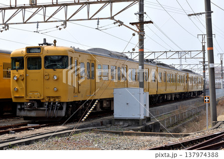 電車区に留置中の115系電車3両 137974388
