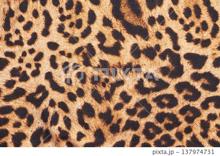 Leopard print fabric texture background close up 137974731