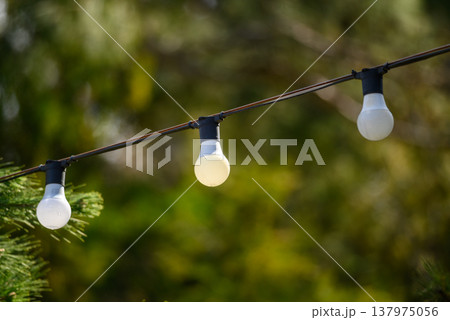 Outdoor string lights with bulbs and green bokeh background 137975056