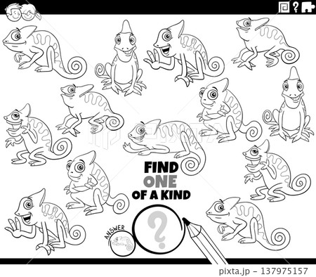 one of a kind puzzle activity with cartoon chameleons animals coloring page 137975157