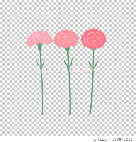 Mother's Day materials: Carnation illustration, icon, simple and cute illustration Mother's Day materials: Carnation illustration, icon, simple and cute illustration 137975212