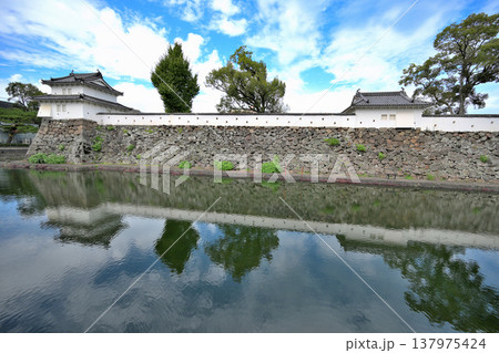 大分県 「府内城」 櫓と石垣 大分県 「府内城」 櫓と石垣 137975424