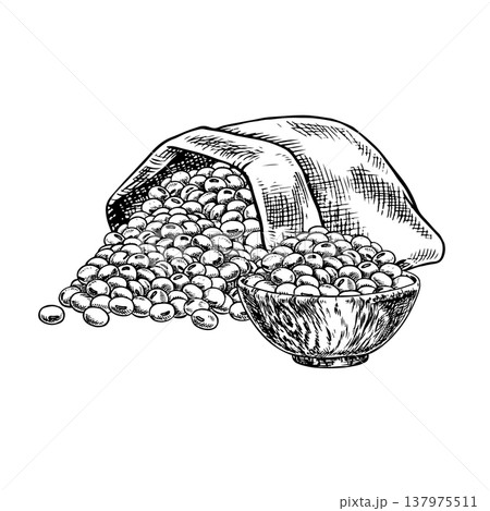 Soybeans in an inverted burlap bag and a wooden cup. Black and white vector graphic illustration. Perfect for creating product labels, posters, banners, menus, and more. 137975511