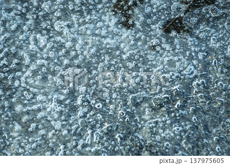 気泡のできた氷　背景素材　イメージ素材　テクスチャ　 137975605