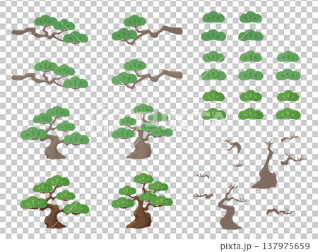 かわいい松の木のイラスト素材セット 137975659
