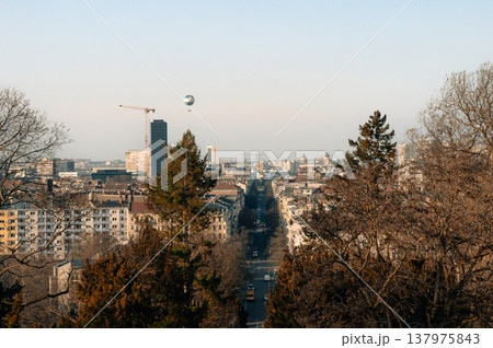 Elevated City View Framed by Trees and a Straight Avenue 137975843