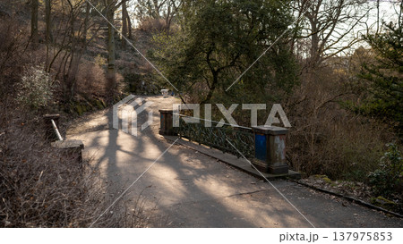 Sunlit Park Bridge on a Quiet Woodland Path Sunlit Park Bridge on a Quiet Woodland Path 137975853