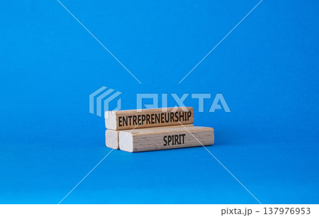Entrepreneurship spirit symbol. Concept word Entrepreneurship spirit on wooden blocks. Beautiful blue background. Business and Entrepreneurship spirit concept. Copy space Entrepreneurship spirit symbol. Concept word Entrepreneurship spirit on wooden blocks. Beautiful blue background. Business and Entrepreneurship spirit concept. Copy space 137976953