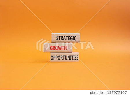 Strategic Growth Opportunities symbol. Concept word Strategic Growth Opportunities on wooden blocks. Beautiful orange background. Business and Strategic Growth Opportunities. Copy space Strategic Growth Opportunities symbol. Concept word Strategic Growth Opportunities on wooden blocks. Beautiful orange background. Business and Strategic Growth Opportunities. Copy space 137977107