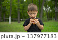 Little boy eats cheeseburger in park and looks at camera portrait shot 4k 137977183