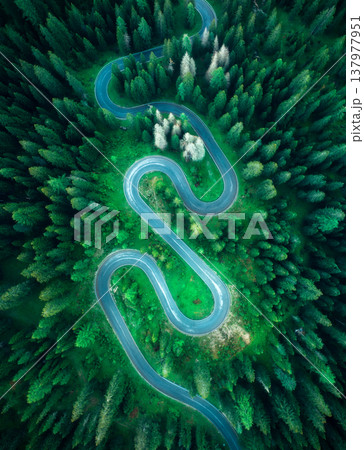Aerial view of mountain snake road and green forest in summer Aerial view of mountain snake road and green forest in summer 137977951