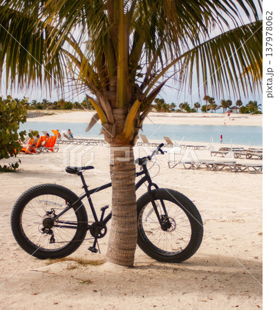 Blue sea ,sand , palm trees and a beach bike under the palm. Holiday concept Blue sea ,sand , palm trees and a beach bike under the palm. Holiday concept 137978062