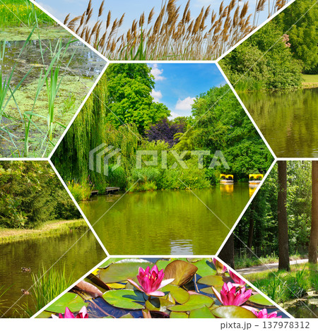 Beautiful environmental mosaic showcasing various aspects of a public park including blooming pink water lilies, tall grass reeds, and yellow pedal boats on a calm green river. 137978312