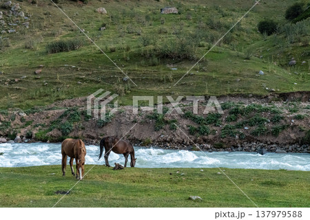 Sunrise over the mountains in Kyrgyzstan 137979588