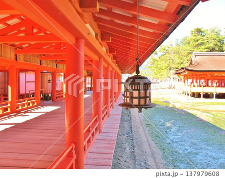 朝の厳島神社 広島 朝の厳島神社 広島 137979608