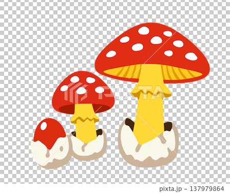 鵝Hemibapha 鵝Hemibapha 137979864