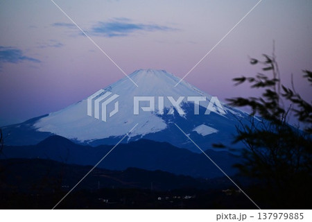 早春の富士山・日本観光素材 早春の富士山・日本観光素材 137979885