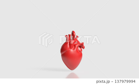 Realistic Red Human Heart Anatomy Medical 3D Model Realistic Red Human Heart Anatomy Medical 3D Model 137979994