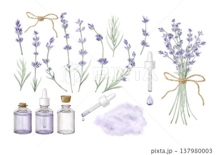 Watercolor lavender essential oil set. Hand drawn botanical collection with flowers, glass bottles, pipette and lavender bouquet for organic cosmetics, aromatherapy and spa wellness design. 137980003