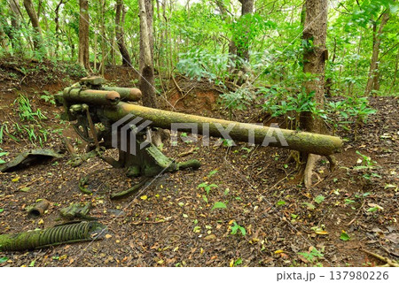 小笠原諸島　母島　東港探照灯下砲台 137980226