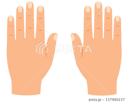 手の甲 137980237