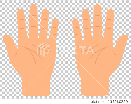 palm palm 137980239