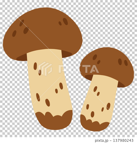 松茸 137980243