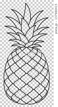 Various Fruit Line Drawings 137980415
