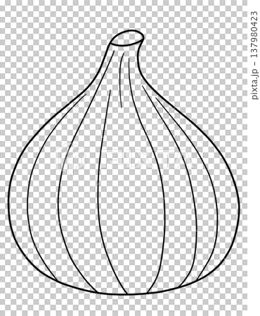 Various Fruit Line Drawings Various Fruit Line Drawings 137980423