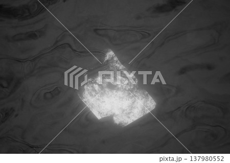 池に打ち捨てられてた、白い板5 池に打ち捨てられてた、白い板5 137980552