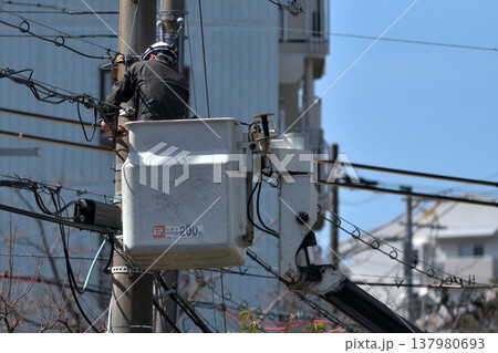 電気通信工事　通信ケーブルのメンテナンス工事風景 137980693