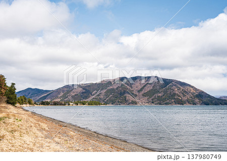 琵琶湖岸風景 滋賀県長浜市マキノ町 琵琶湖岸風景 滋賀県長浜市マキノ町 137980749