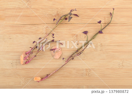 Sweet potato cuttings and sprouts for propagation on a wooden substrate. 137980872