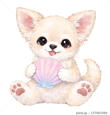 【夏】貝殻を持ったチワワのイラスト 137981099