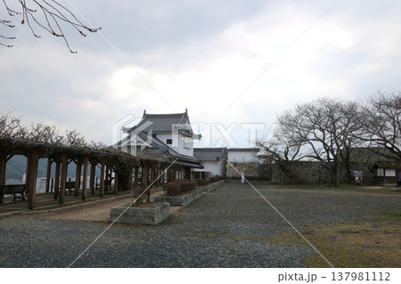 岡山 津山城 岡山 津山城 137981112