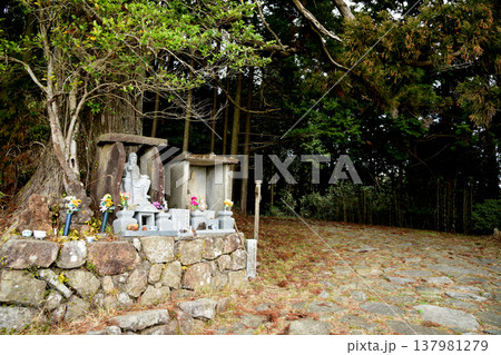 捻木の杉(役ノ行者像) 【和歌山県田辺市】 捻木の杉(役ノ行者像) 【和歌山県田辺市】 137981279