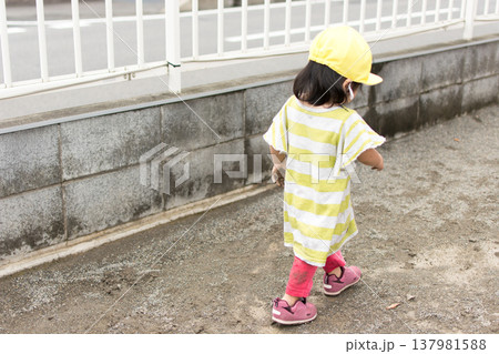 園庭を歩く女の子 黄色い帽子の子ども日常風景 137981588