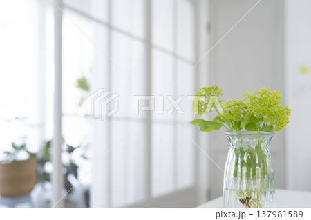 テーブルに置かれた花瓶　花のある生活 137981589