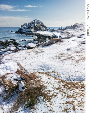「青森県」雪景色の中須賀・種差海岸 八戸市 「青森県」雪景色の中須賀・種差海岸 八戸市 137981699