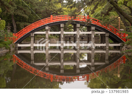 住吉大社の太鼓橋と水面の反射（大阪） 137981985